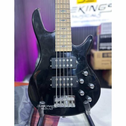 Ibanez 5-String Passive Bass Guitar