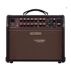 BOSS Acoustic Singer Live LT