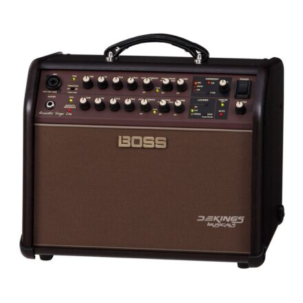 BOSS Acoustic Singer Live LT