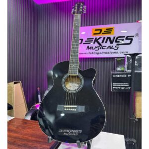 SMIGER GA-H10 Semi-Acoustic Guitar