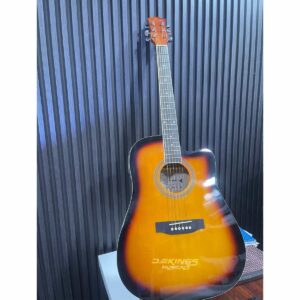 SMIGER GA-H11 Semi-Acoustic Guitar