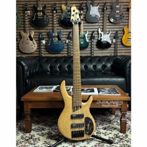 Cort Artisan B5 Element