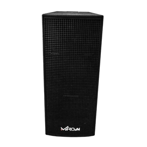 Virgin Delta-216P Dual 16’’ Passive Speaker – (A Pair) Powerful Sound for Churches, DJs & Events