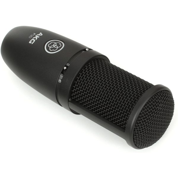 AKG P120 Large Diaphragm Condenser Microphone - Image 3