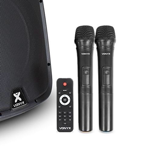 Modern Day Sound Dual 15" Speaker System - PA System For Outdoor Use - Image 3