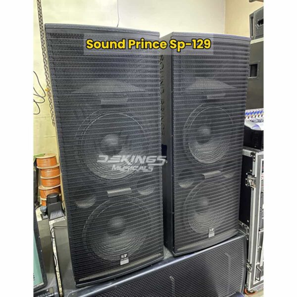 Professional Sound Prince SP-129 speaker (Pair) - Dekings Musicals
