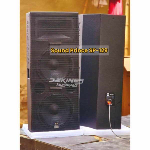 Professional Sound Prince SP-129 speaker (Pair) - Dekings Musicals