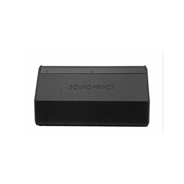 Sound Prince SP-15MTX 15” Passive Floor Monitor with Acoustic Enclosure - Image 4