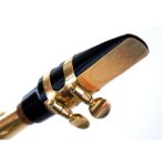 Saxophone Reeds & Mouthpiece